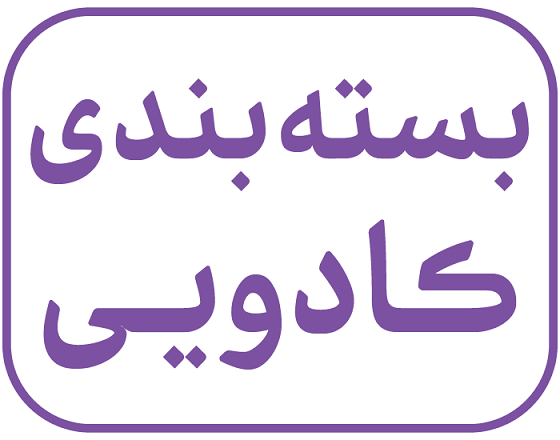 بسته بندی کادویی